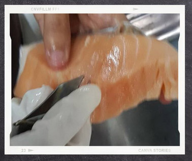 Menu-Miso Solution D1 Salmon -2