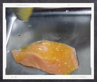Menu-Miso Solution D1 Salmon -5